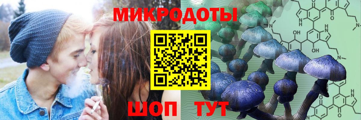 Псилоцибиновые грибы GOLDEN TEACHER Кызыл